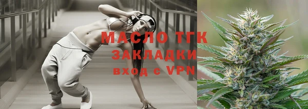 шишки Арсеньев
