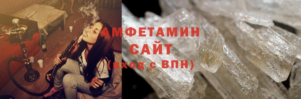 шишки Арсеньев