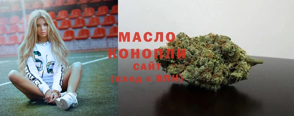 шишки Арсеньев