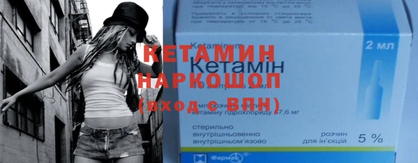 шишки Арсеньев
