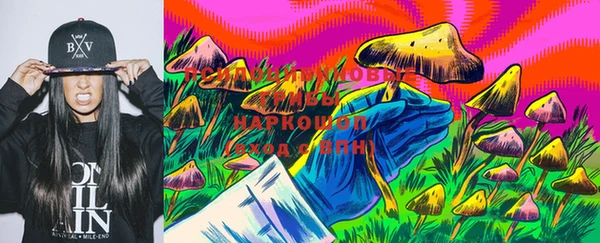 шишки Арсеньев