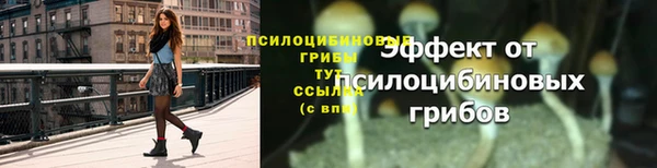шишки Арсеньев