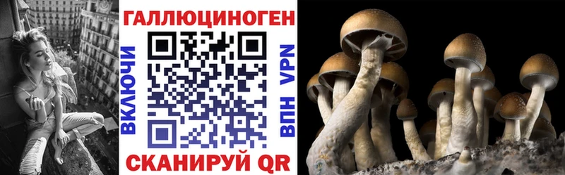 блэк спрут как зайти  Судак  Галлюциногенные грибы GOLDEN TEACHER 